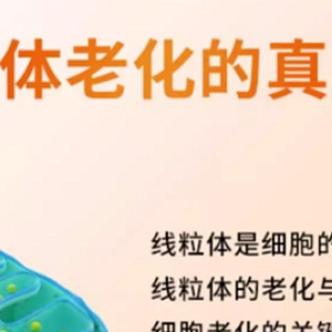 辅酶Q10是否可以长期服用，最佳服用时间？