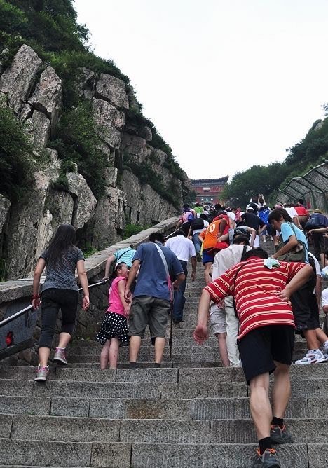 骆驼登山鞋