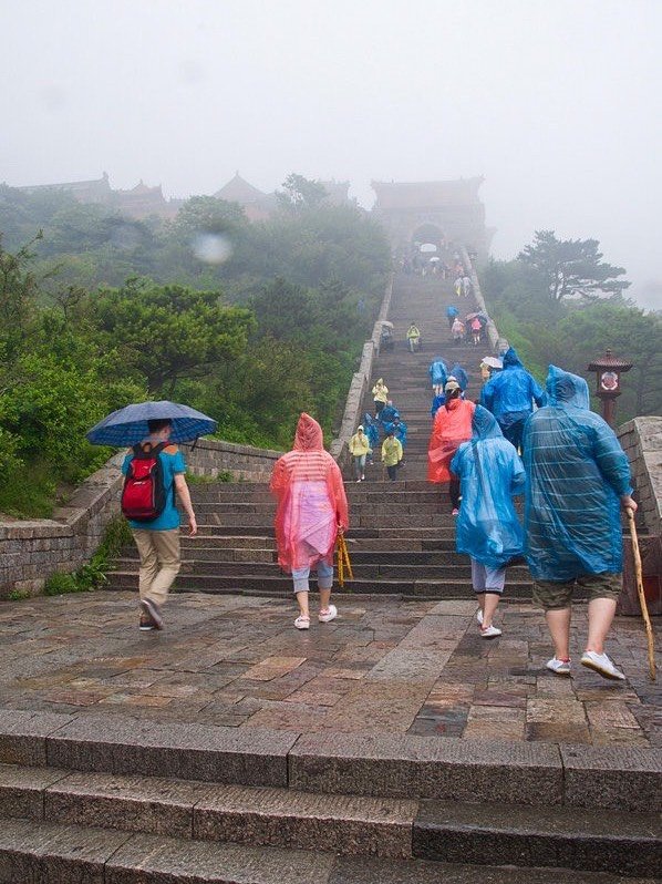 骆驼登山鞋