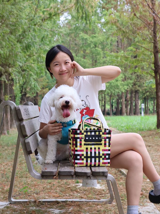 truelove宠物胸背带评测，真的很好看，也很好用，值得购买