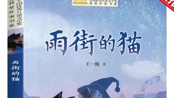 《雨街的猫》：治愈心灵的温暖故事，适合谁读？