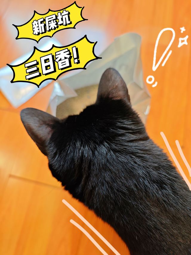 哇！pidan猫砂，用出了新屎坑三日香的非凡体验？！｜测评