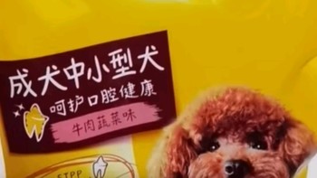 泰迪茶杯犬柯基福音！宝路全价粮，守护你的毛孩子健康成长