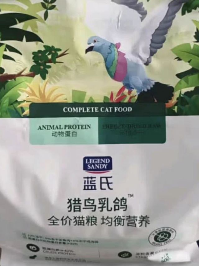 把猫咪当成小孩养