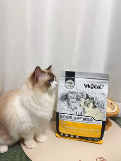 好物清单-猫咪发腮秘籍大公开！WhyCat冻干猫粮，让布偶宝贝秒变圆润小仙喵