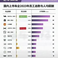 赛力斯20万薪水VS理想80万薪水的原因