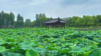 环太湖之湖州游记：探寻江南水乡的秘密