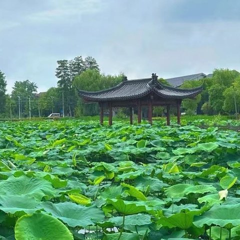 环太湖之湖州游记：探寻江南水乡的秘密