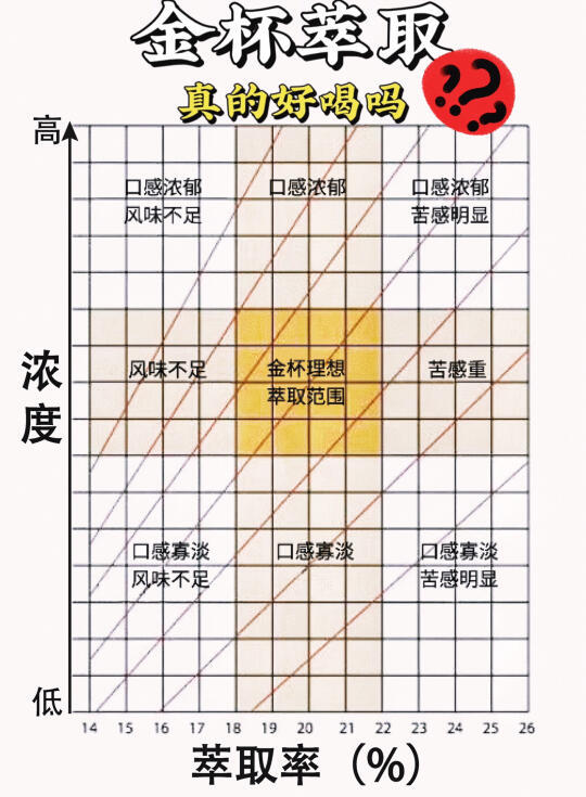 金杯萃取：揭秘咖啡风味的科学奥秘！