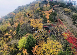 十一国庆，遇见最美丽的香山红叶