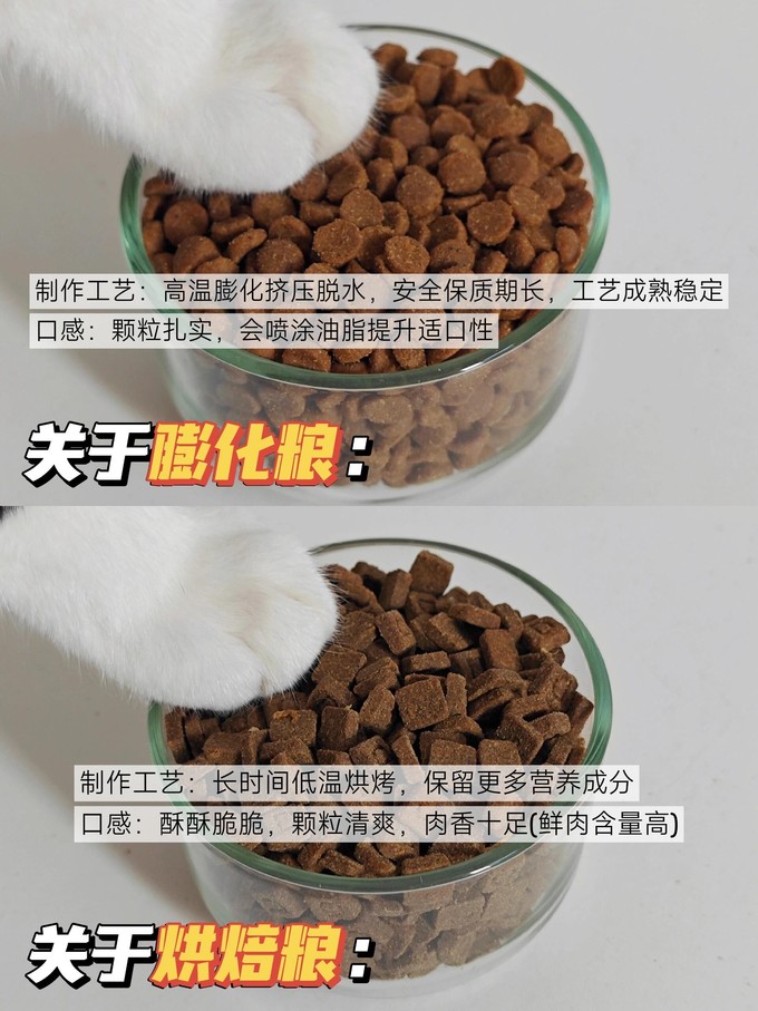 猫咪干粮