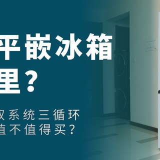 将质价比进行到底，不到4000块就能买到双系统平嵌冰箱？TCL T9 Pro超薄平嵌冰箱值不值得买？