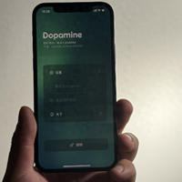 iOS 巨魔进阶技巧，全面打破限制，Dopamine 越狱保姆级教程