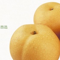 🍐当季新鲜来袭甜萌山东秋月梨 | 一口咬出的甜蜜惊喜🍐