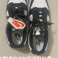 Nike耐克熊猫DUNK运动鞋真的很不错！