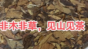 非木非草，见山见茶