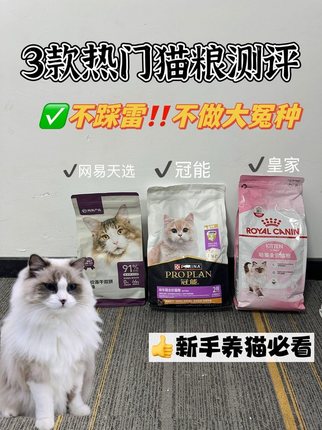 自用过的三款猫粮，看完上岸！