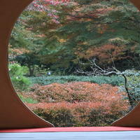 （篇三，镰仓【上——深山古寺】）