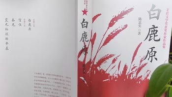 白鹿原典藏版：陈忠实经典，茅盾奖认证🌟