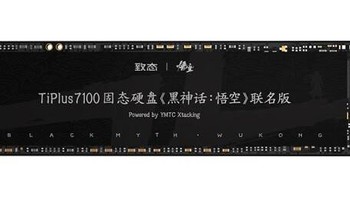 用致态长江存储2TB SSD固态硬盘，速度飞快，存储无忧，黑神话悟空联名版，更有型！