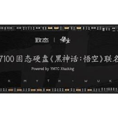 用致态长江存储2TB SSD固态硬盘，速度飞快，存储无忧，黑神话悟空联名版，更有型！