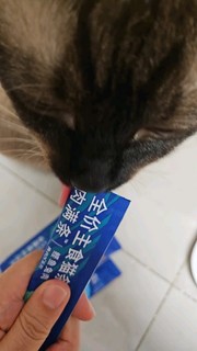 蓝氏猫条，猫咪的美味小零食