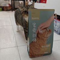 网易最便宜的一款猫粮，猫猫也很喜欢