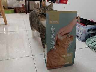 网易最便宜的一款猫粮，猫猫也很喜欢