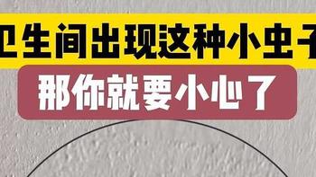 注意！卫生间里这种小飞虫不要随手拍死，不然后果可能很严重