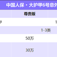 大公司，赔付高，价格低，大护甲6号旗舰版，工作生活都能保