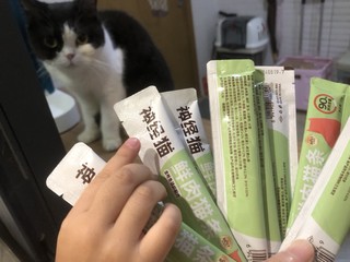 推款平价猫条—神经猫条，目前好价可入！