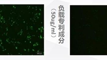 专利成分阻断肌肤蓝光伤害，华妍光钥为“屏幕族”保驾护航