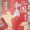 读渤海小吏的《三国争霸》有感