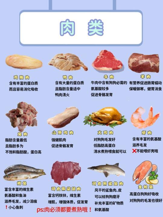 狗狗饮食指南：哪些人类食物能吃，哪些不能吃？