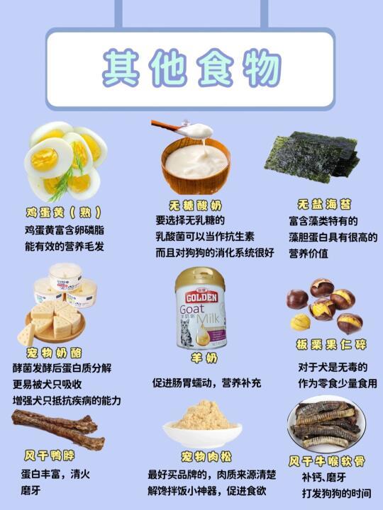 狗狗饮食指南：哪些人类食物能吃，哪些不能吃？