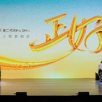 比亚迪2024年上半年销量161.3万辆，但是单车利润仅8450元