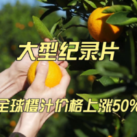 大型纪录片《全球橙汁价格上涨50%》