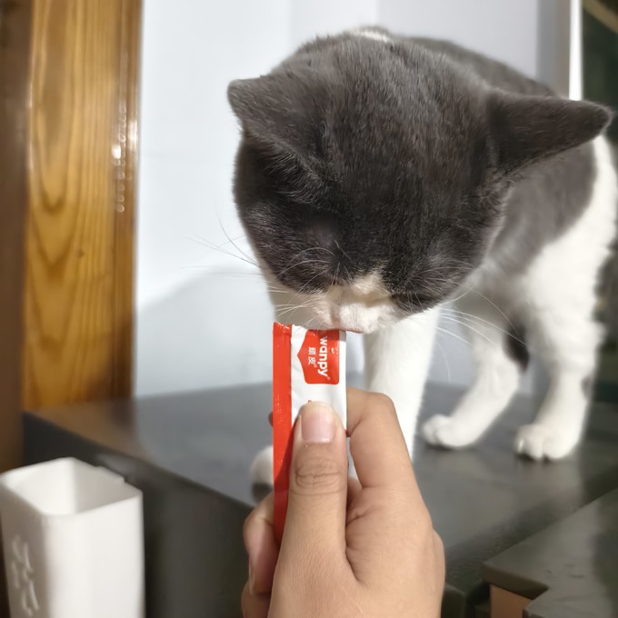 顽皮猫咪肉质零食