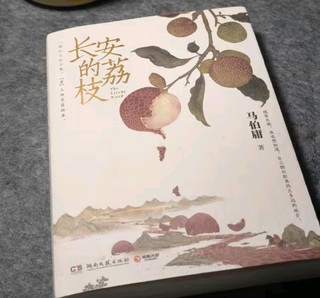 《长安的荔枝》：历史小说的魅力与深度