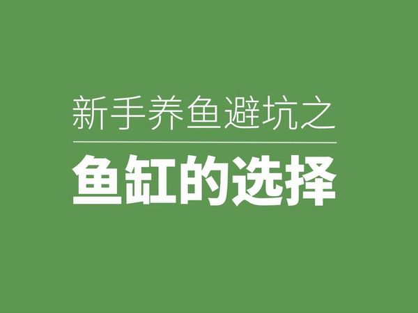 新手养鱼避坑之鱼缸篇