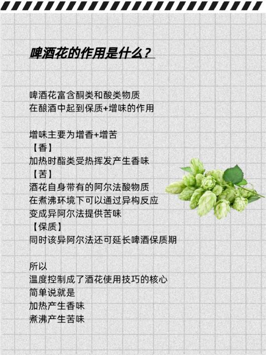 不同温度下投放啤酒花对酿造的影响解析