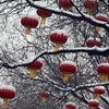 “早寒露，白雪皑皑；晚寒露，春节穿袄”，今年寒露是早是晚？