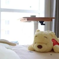 Pooh Bear维尼熊