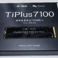 致态长江存储 1TB SSD固态硬盘，《黑神话：悟空》联名版，性能强劲，速度飞快！让电脑瞬间提升新高度！