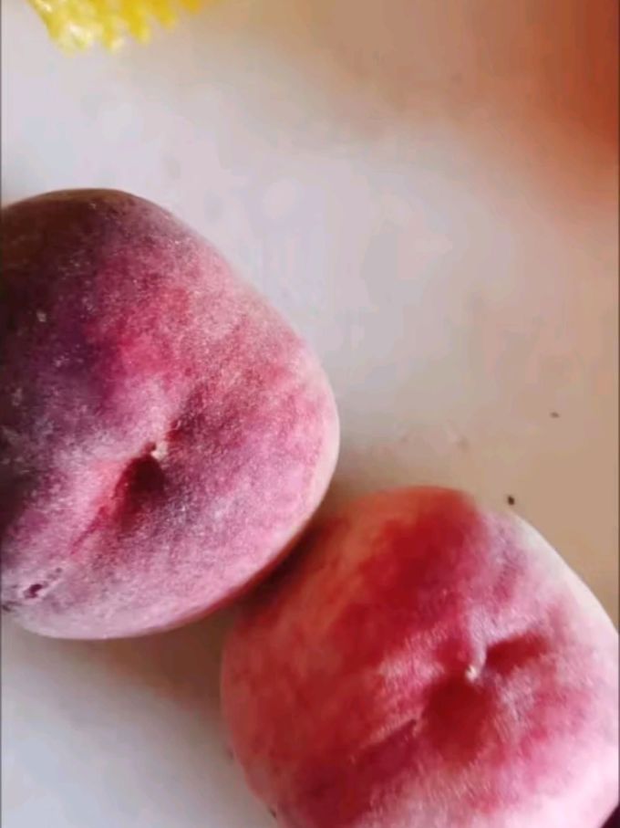 寻天果蔬北京平谷桃 当季生鲜水果大桃 现摘现发整箱批发