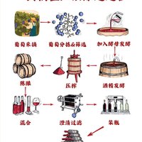 一秒变行家🍷红酒是怎样酿造的？