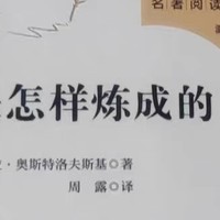 钢铁是怎样炼成的