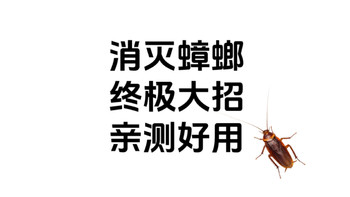 如果你家也被蟑螂困扰，总是杀不完，可以看看我的杀蟑螂攻略！