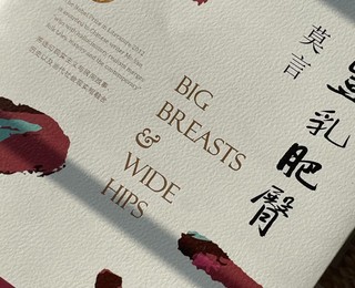 《丰乳肥臀》的读后感