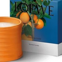 罗意威（LOEWE）橙花香薰蜡烛：香氛艺术，精致之选